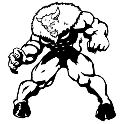 Buffalo